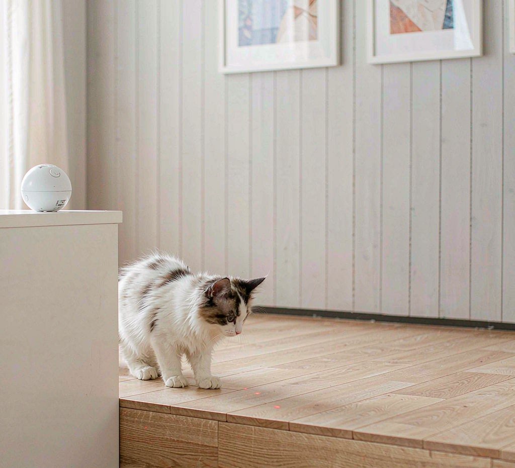 AeroPlay AI Interactive Laser Toy — lifestyle view 1
