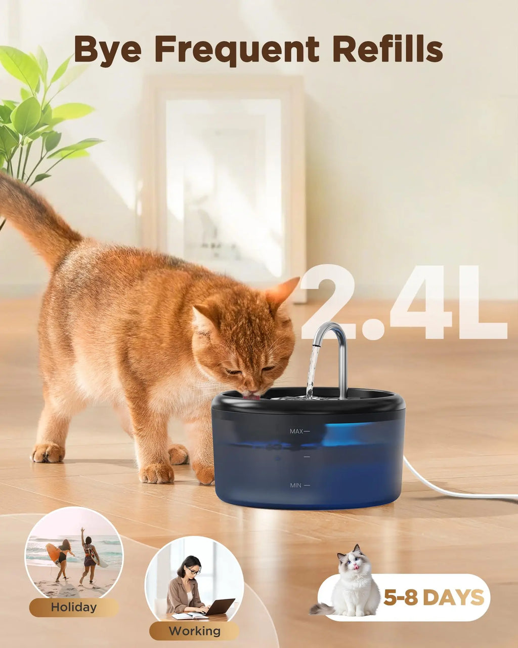Automatic Water Fountain:Pet Water Fountain Pet Water Feeder Indoor Cat/Dog Drinking Bowl Water Dispenser Silent( No 5V 1A Plug)