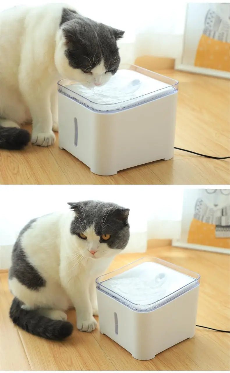 2L Pet Water Fountain with Filter & LED Light - BPA-Free Automatic Cat Dog Drinking Dispenser, Ultra Quiet, Visible Water Level
