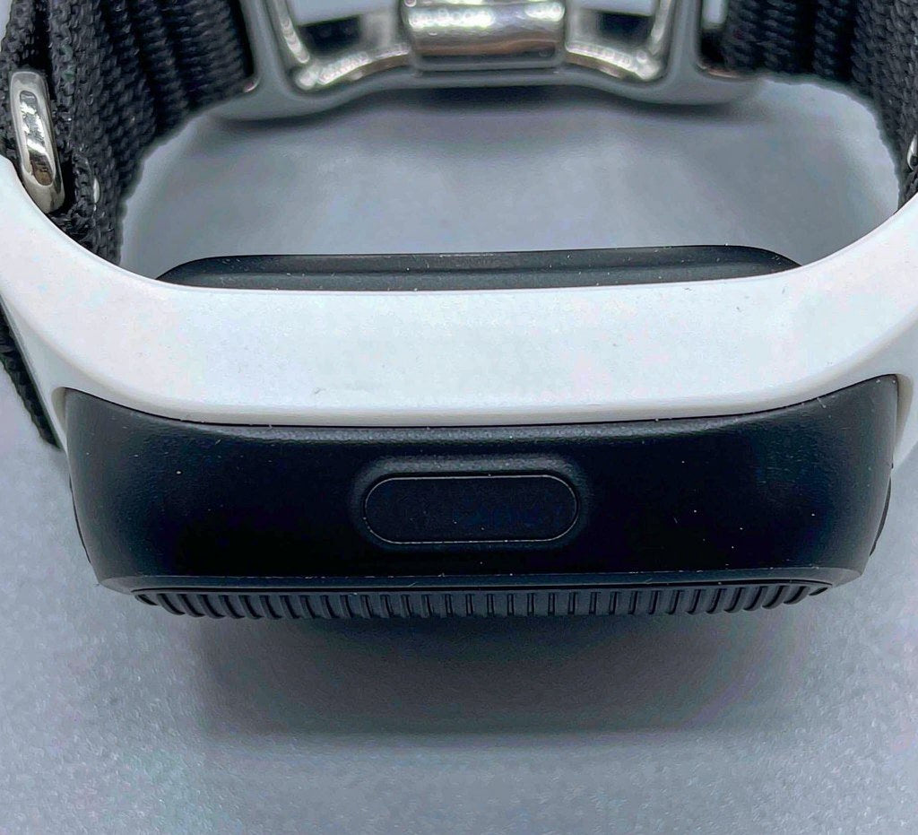 AeroTrack GPS Pet Collar — lifestyle view 2