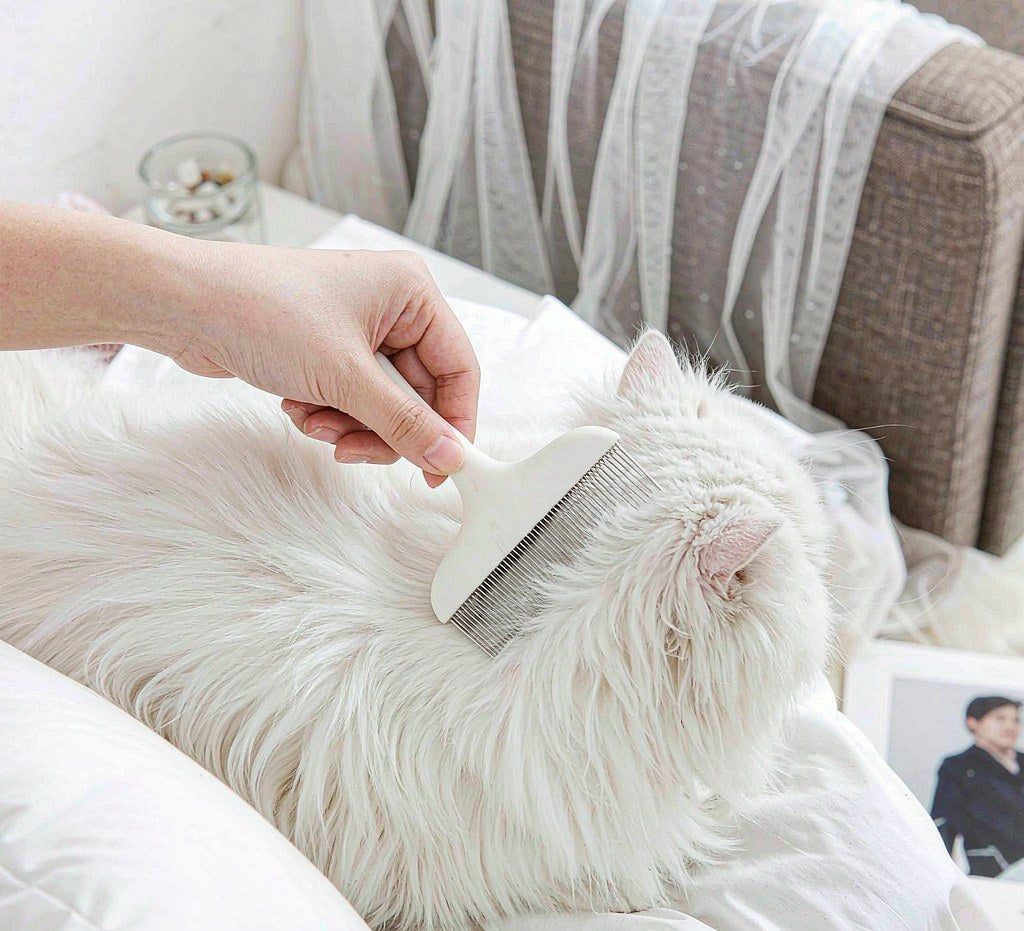 Lumina Detangling Pet Grooming Comb — lifestyle view 1
